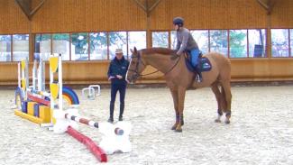 Exercices pour les chevaux qui chargent à l’abord des obstacles