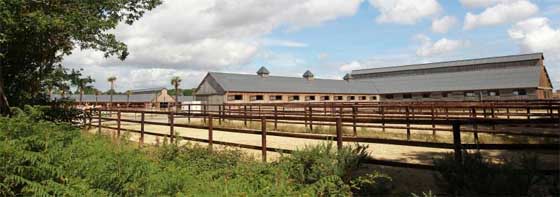 haras-de-hus