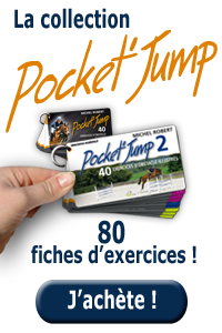 Pocket'Jump 2