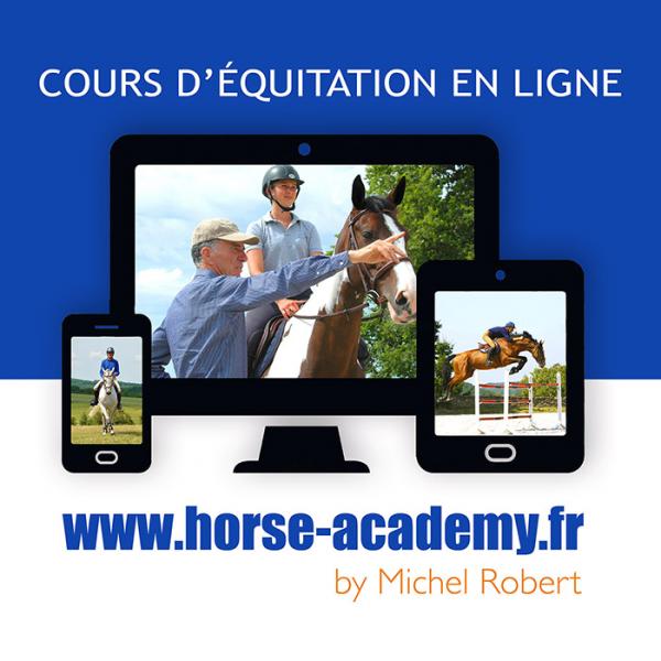Activation De Votre Abonnement En Cours Activation d'un abonnement 12 mois | Horse Academy