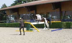 saut-en-longe