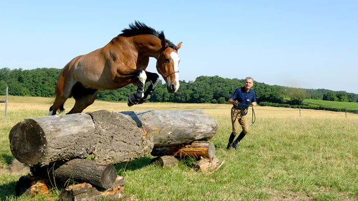 Saut en longe Michel Robert