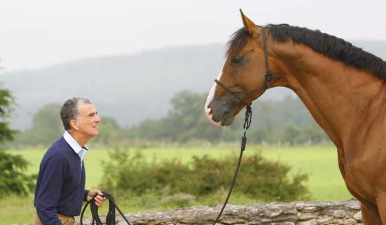 Résultat de recherche d'images pour "cheval et cavalier"