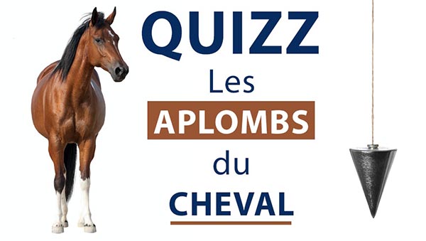 Les aplombs cheval révision galop 7