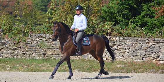 Controle du cheval avec Michel Robert