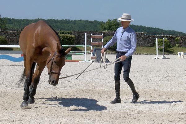 Cours longe avec Michel Robert