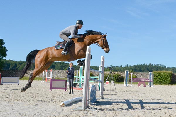 Cours d'équitation en ligne Horse Academy