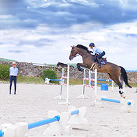 Cours d'équitation en ligne Horse Academy