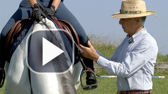 Cours d'équitation en ligne