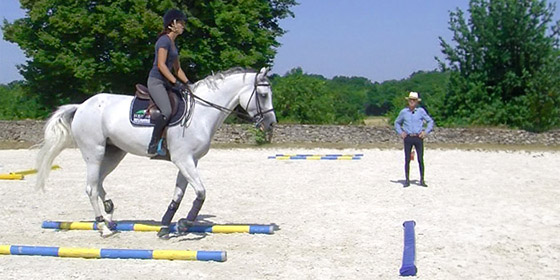 Cours michel robert