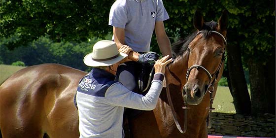 actions de main cavalier