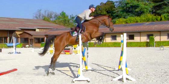 cours obstacle Michel Robert