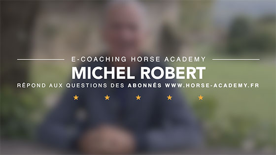 cours Michel Robert