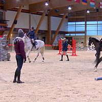 Cours d'équitation en ligne Horse Academy