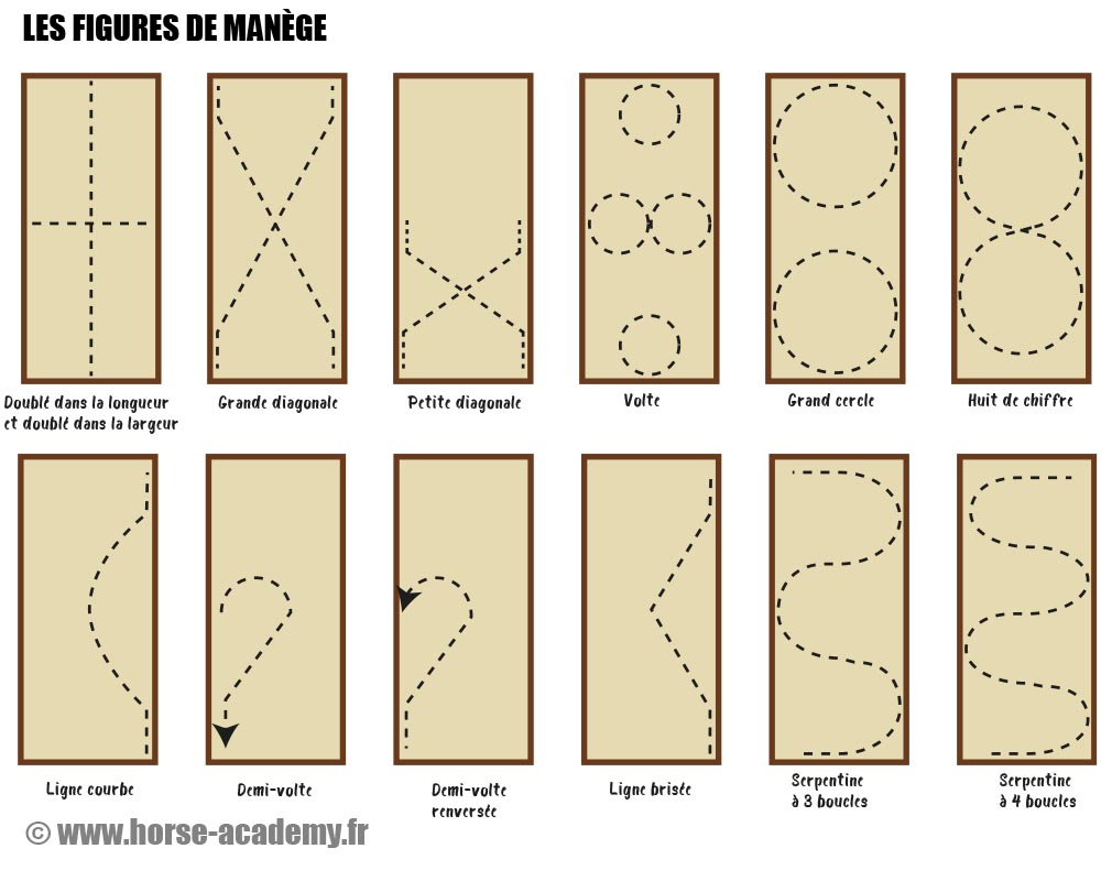 Les figures de manège sur Horse Academy