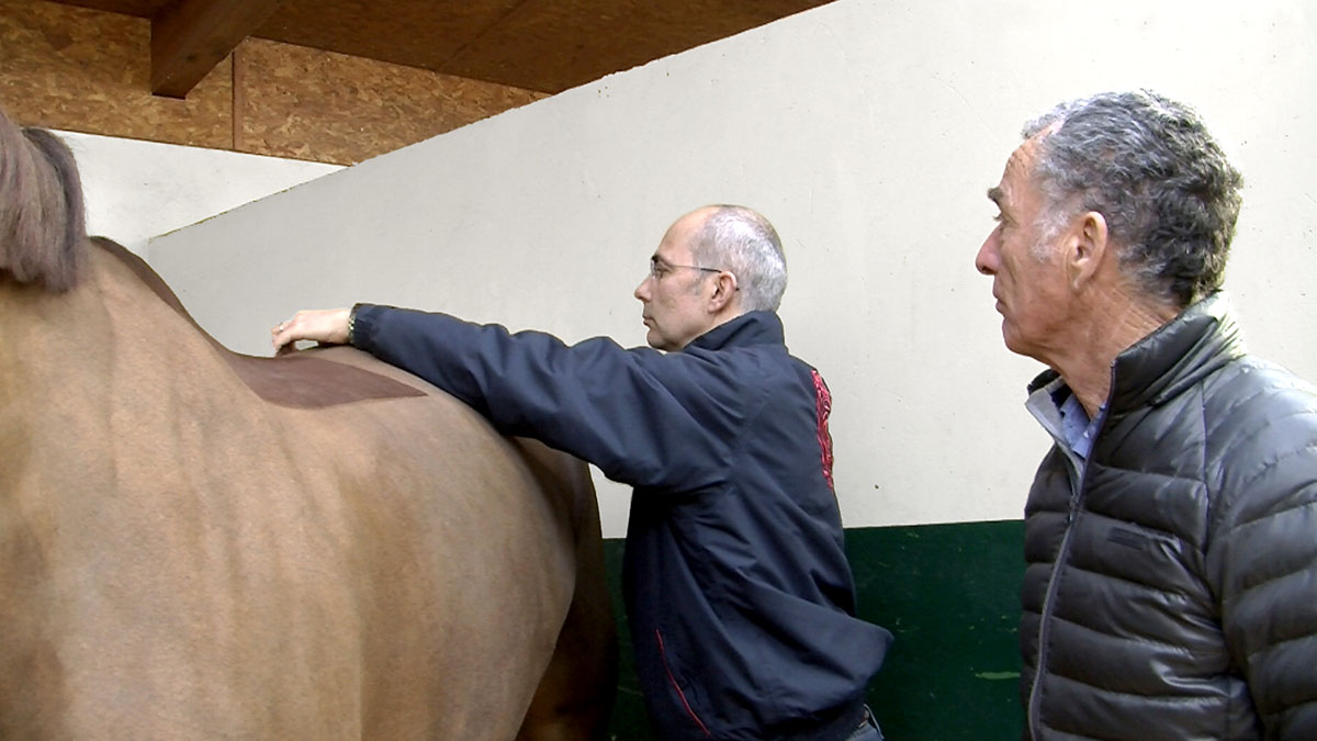 Olivier Geoffroy et Michel Robert