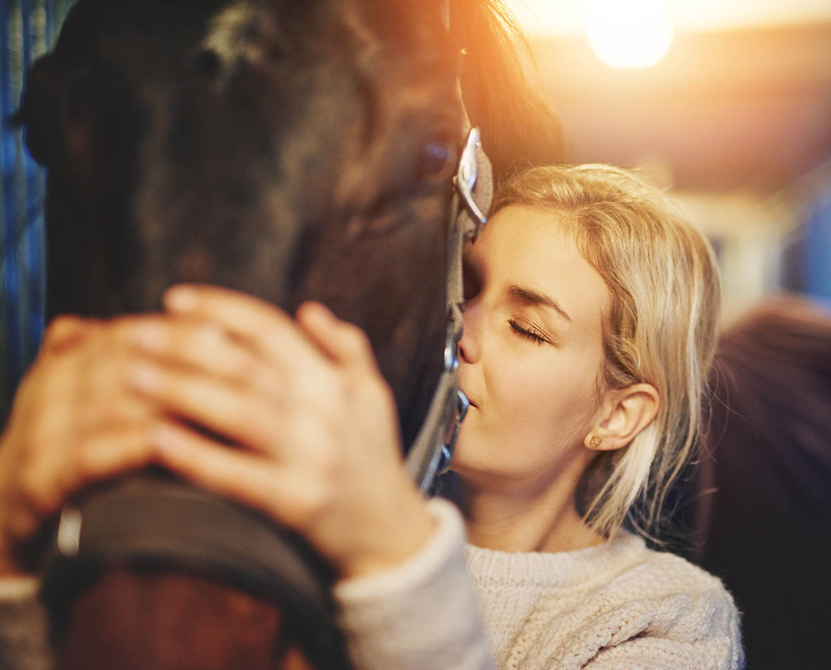 Bien-etre du cheval et du cavalier