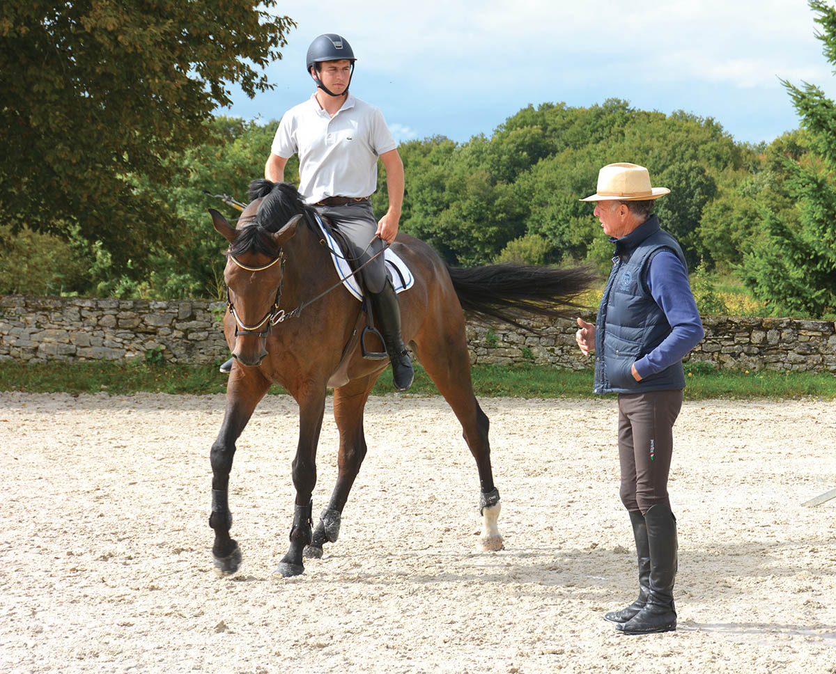 Cours d'équitation en ligne Horse Academy