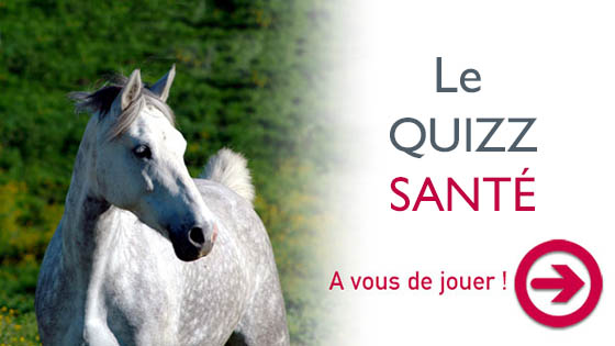 Jeu santé du cheval