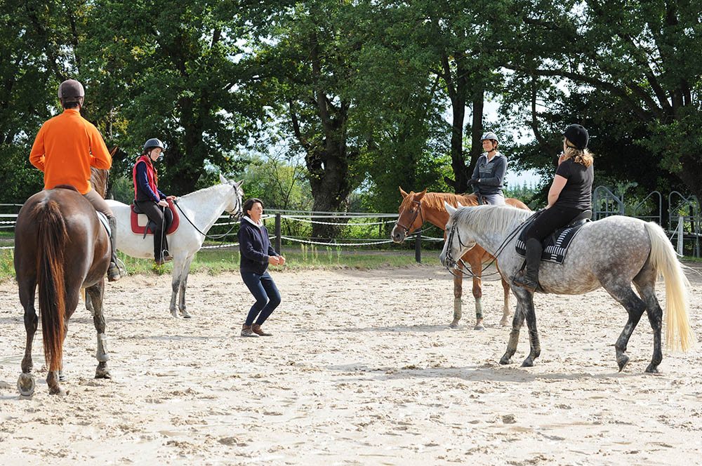 Méthode Alexander sur Horse Academy