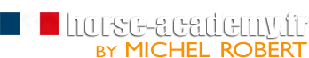Accueil