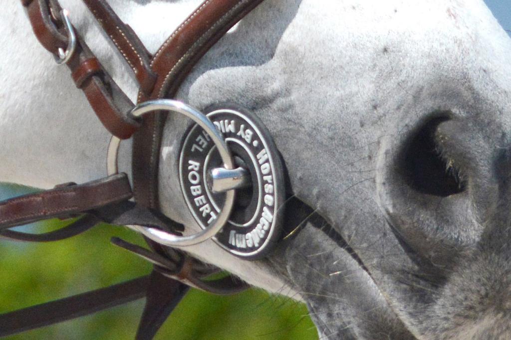 Collection 5 rondelles de mors Michel Robert