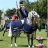 Le britannique Nick Skelton gagne le Grand Prix de la Baule