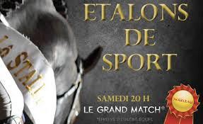 Saint-Lô - Les étalons de sport font salon