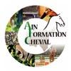 Journée de formation : Tout sur l'alimentation du cheval