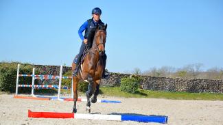 exercices barres au sol Horse Academy