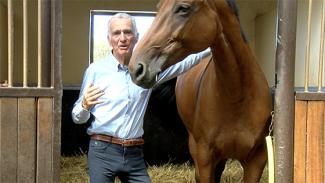 Bien acheter son cheval : les conseils de Michel Robert