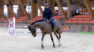 Stage Pénélope Leprévost sur Horse Academy