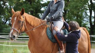 Stage équitation alexander Horse Academy