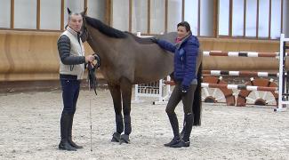 Stage équitation Michel Robert et Pénélope Leprévost le mans