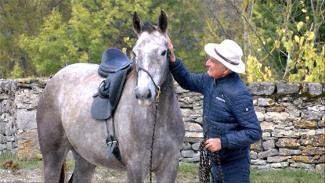 Préserver la santé du cheval de sport