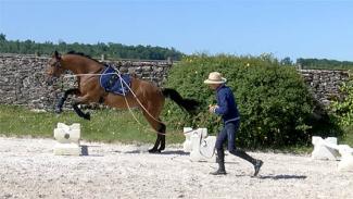 Le travail aux longues rênes . vidéo 3