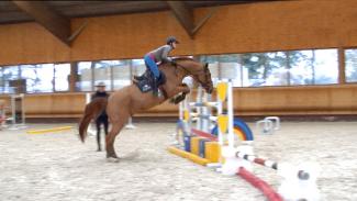 Exercices pour les chevaux qui chargent à l’abord des obstacles