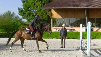 Comment obtenir un cheval rond et disponible sur le plat et à l'obstacle