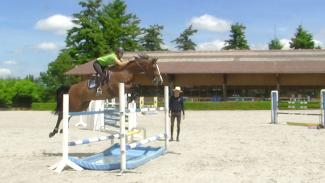 Gérer l’appréhension du cheval face aux difficultés