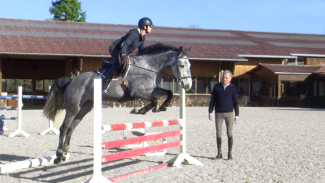 Améliorer le style du jeune cheval à l'obstacle