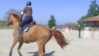 Canaliser les épaules du cheval sur un tracé précis