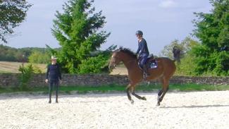 Varier l’amplitude du galop sur une ligne