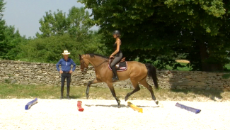 Développer l’amplitude et la propulsion du cheval