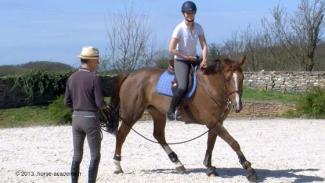 Position du cavalier et amélioration du fonctionnement chez le cheval