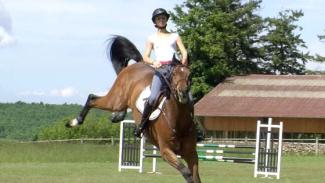 Comment gérer le comportement d'un cheval un peu trop frais...