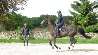 Contrôler un cheval un peu trop chaud à l'obstacle