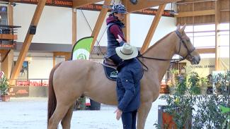 Détente et mise en confiance d’un jeune cheval avec Pénélope Leprévost . Phase 1