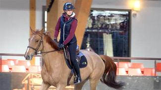 Détente et mise en confiance d’un jeune cheval avec Pénélope Leprévost . Phase 1