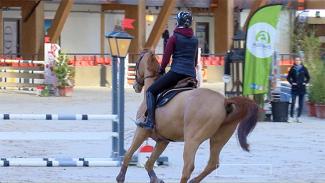 Détente et mise en confiance d’un jeune cheval avec Pénélope Leprévost . Phase 2