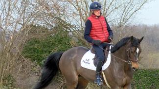 Construire le galop du cheval avant une séance d'obstacle